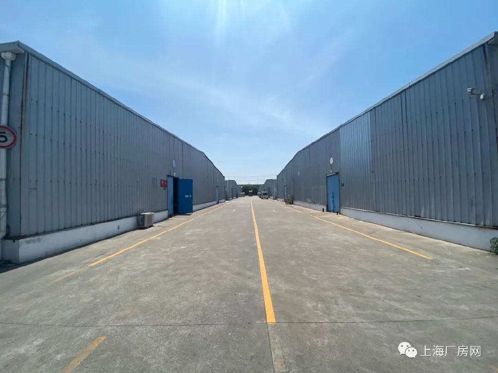 上海闵行莘庄工业区标准单层无立柱仓库厂房出租 挂车可掉头大小面积都有
