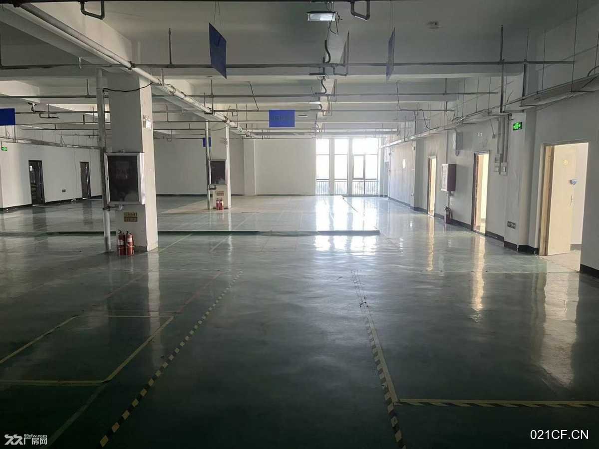 郑州新郑厂房出租实景图2