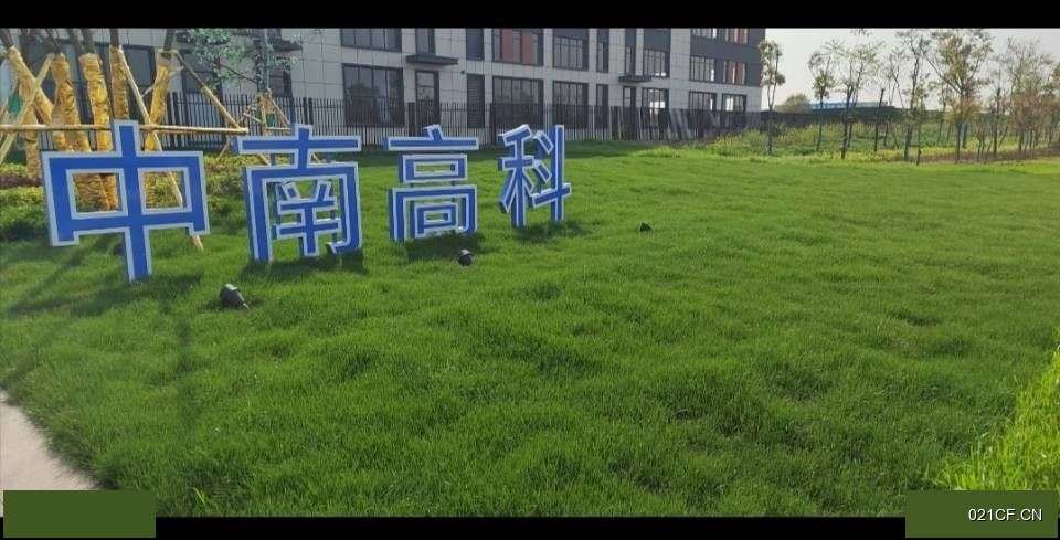 襄阳襄州东津新区现代大道与会展北路交叉口框架钢构面积800－6000130000㎡独栋标准厂房出售