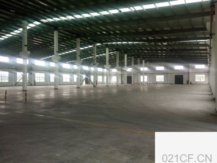 工业园上海松江12000㎡ 奉城独门独院12000平高8米带空地5亩厂房出租，首层12米层高